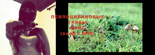 PSILOCYBIN Гусев