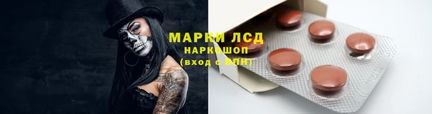 трава Зерноград