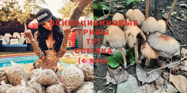 кокаин Александровское