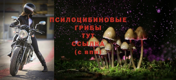 Альфа ПВП Зеленодольск