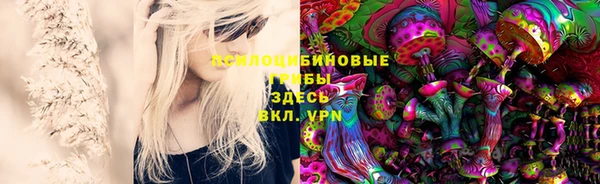 герыч Зеленокумск