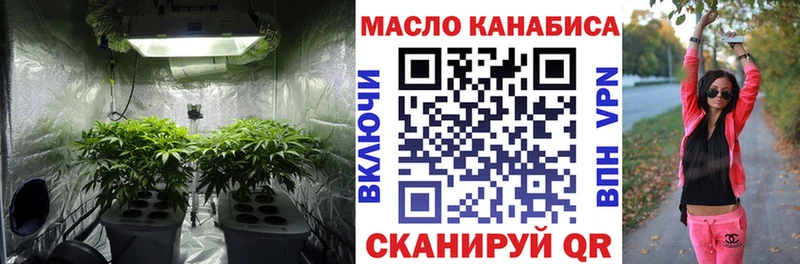 Дистиллят ТГК THC oil  ОМГ ОМГ ONION  Пудож 