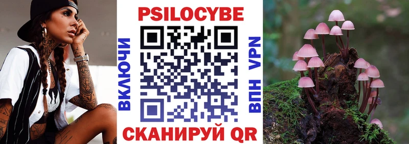 hydra вход  Пудож  Галлюциногенные грибы прущие грибы 